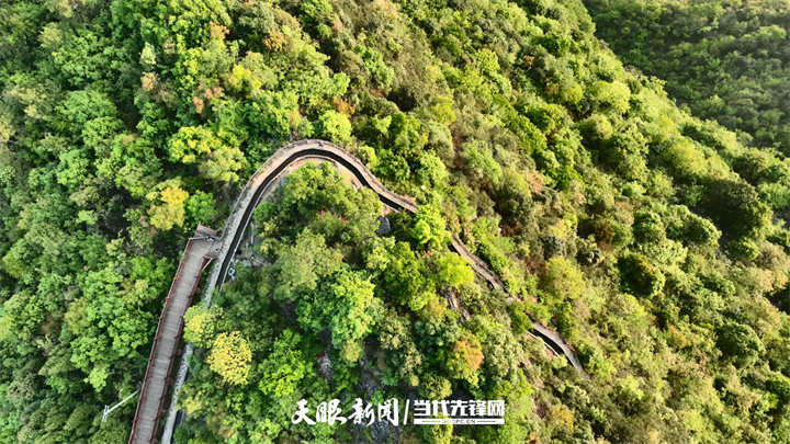 遵义策划