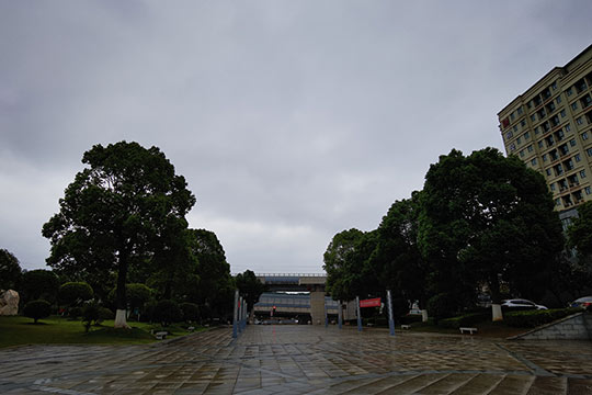遵义天气预报15天